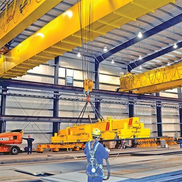 Overhead Crane With Carrier Beam